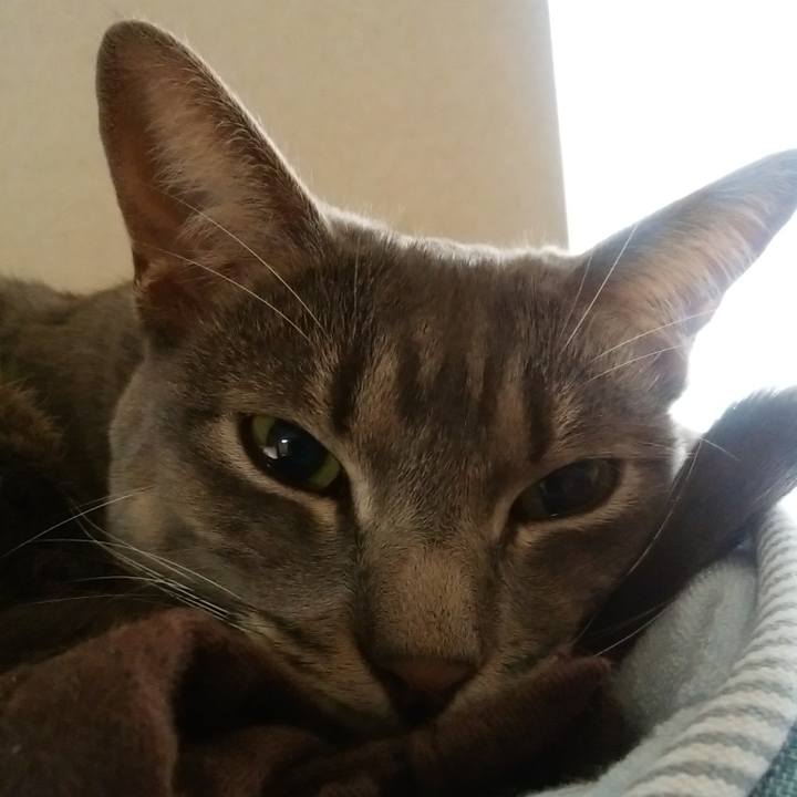 E5a8bd8e 1ab7 42c4 99b5 78b6b8570737 1511403544423