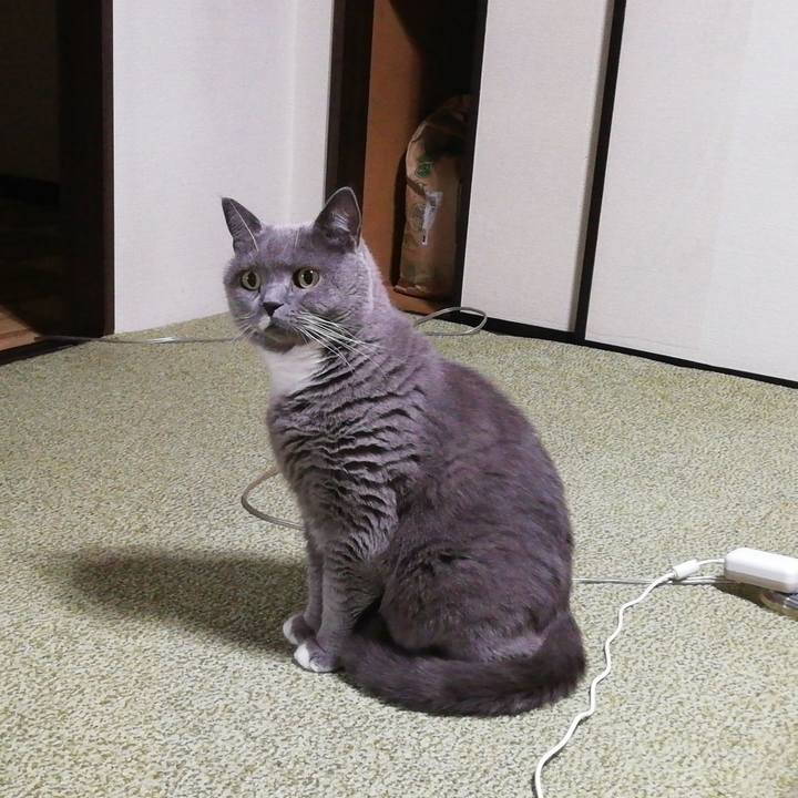 E5a8c1a8 c891 4bf8 bc96 27364f10cc41 1663159626252