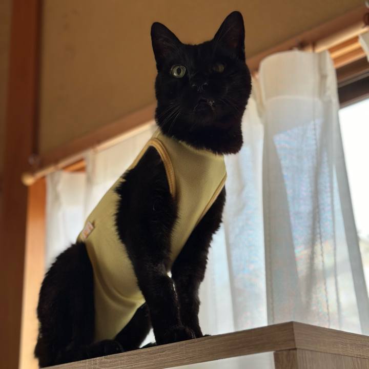 E5a8efee 4737 469b 99e1 cdf4089f2ca4 1715306490657