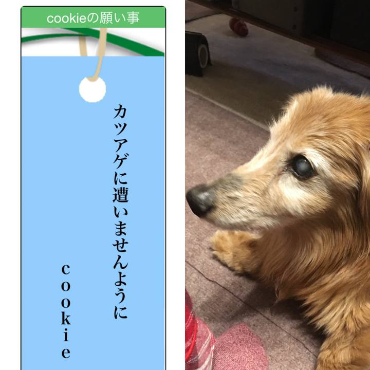 E5a90124 4b1e 4982 b1e0 728db4299964 1625661306365