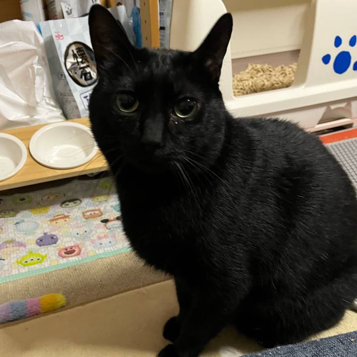 E5a91687 663d 4cdd a4bb b6a49fff669a 1767182920646