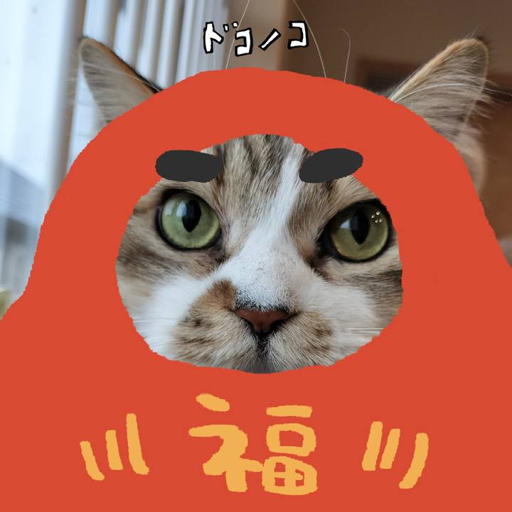 E5a91d3d 3d1f 47c2 9ed0 337c212590ba 1771904246054