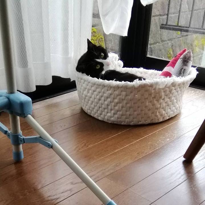 E5a93549 b0d9 4398 a6e6 0d510d9f0edb 1595994219944