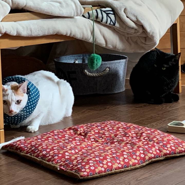 E5a949e0 c085 4a02 b875 7af5c9611d12 1635919130865