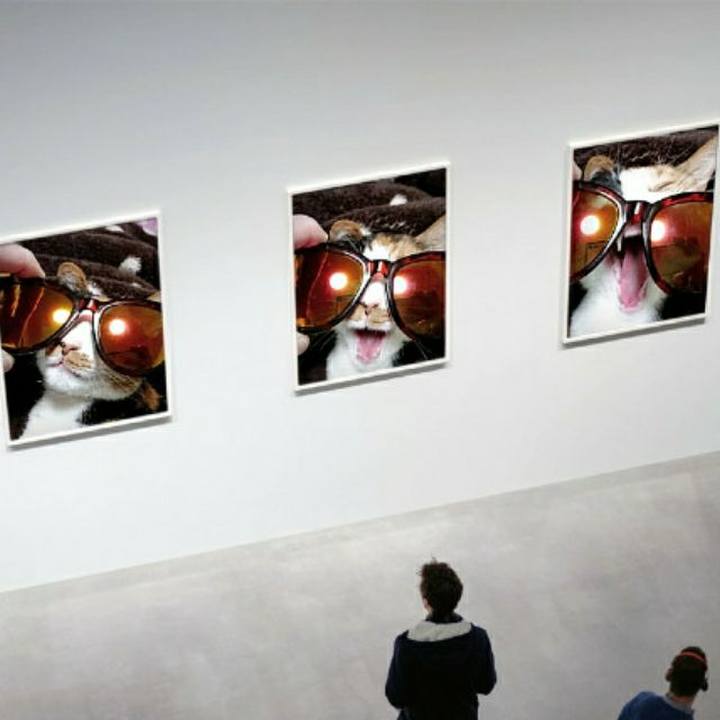 E5a95338 6d6b 46f2 a84d ad7b738ff350 1554470939593