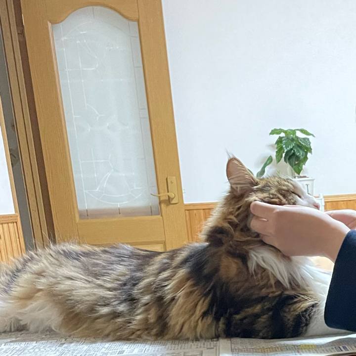 E5a97755 39a6 402c a2b5 b75e8f931a4f 1673095703984