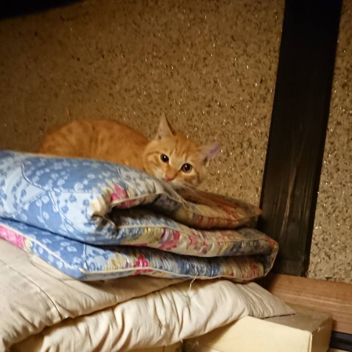 E5a99fff 3bfa 4cdd 9d9d ac80ed4ac365 1634301217799