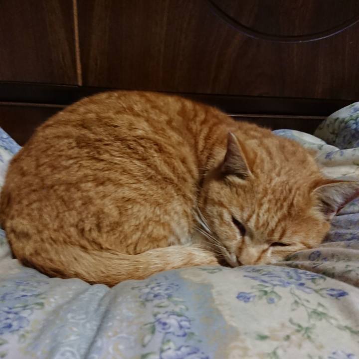 E5a9e62f 6d18 4174 a713 07bb21e43858 1583152574198