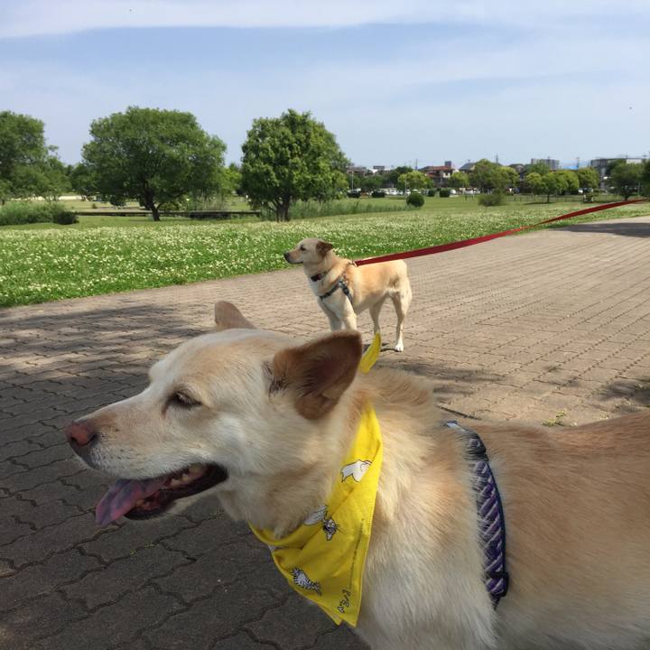 E5a9f399 ce23 4996 8e40 d5f6b881d24d 1525698860448