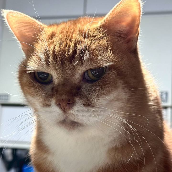 E5aa146d aff3 4468 988c 9cee89c704a9 1767804465132