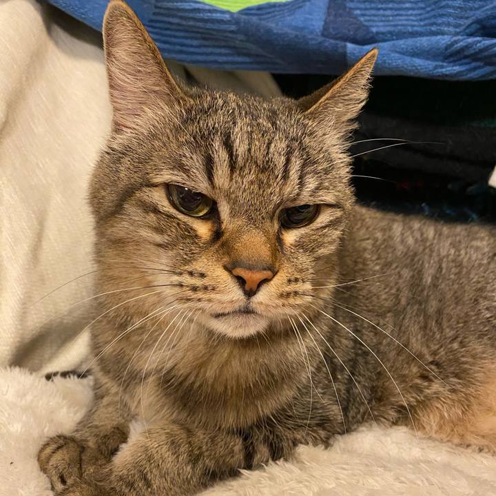 E5aa297b 60e9 4bca 98aa d704f22453c3 1768196259002