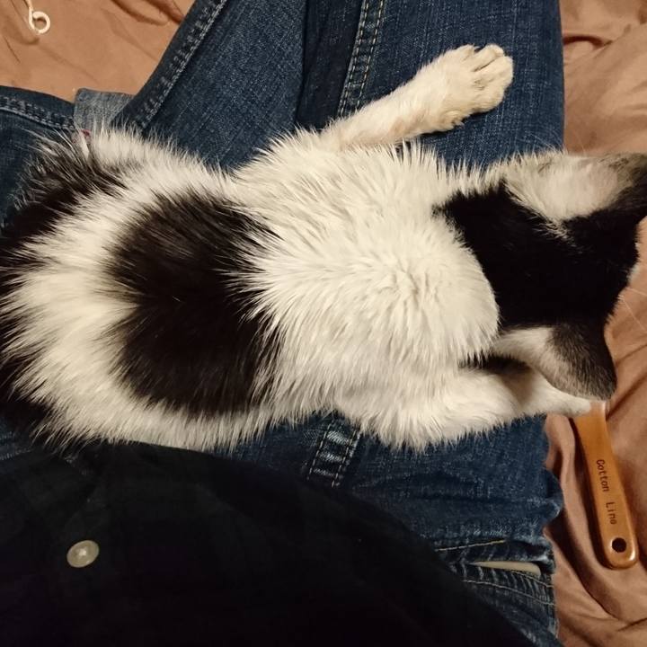 E5aa2ab6 e6f8 4fc2 bb53 3c4761642f2f 1606130881192