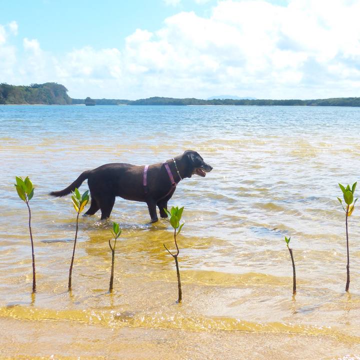 E5aa3b4a 1571 4c21 aa71 c12fb8341b67 1537709613494