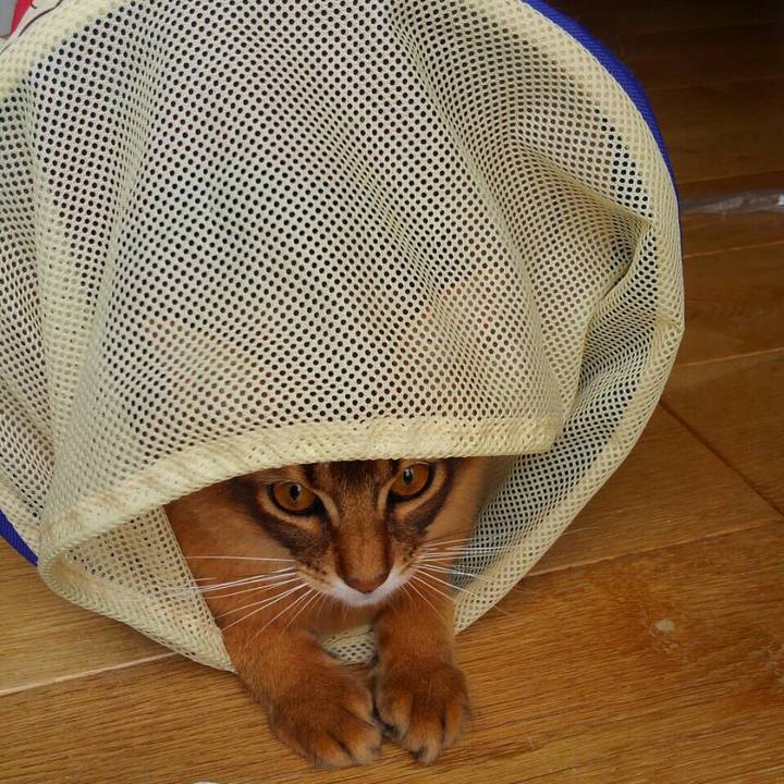 E5aa4b5d a035 49b0 b060 eb5fe512fe20 1585540896282