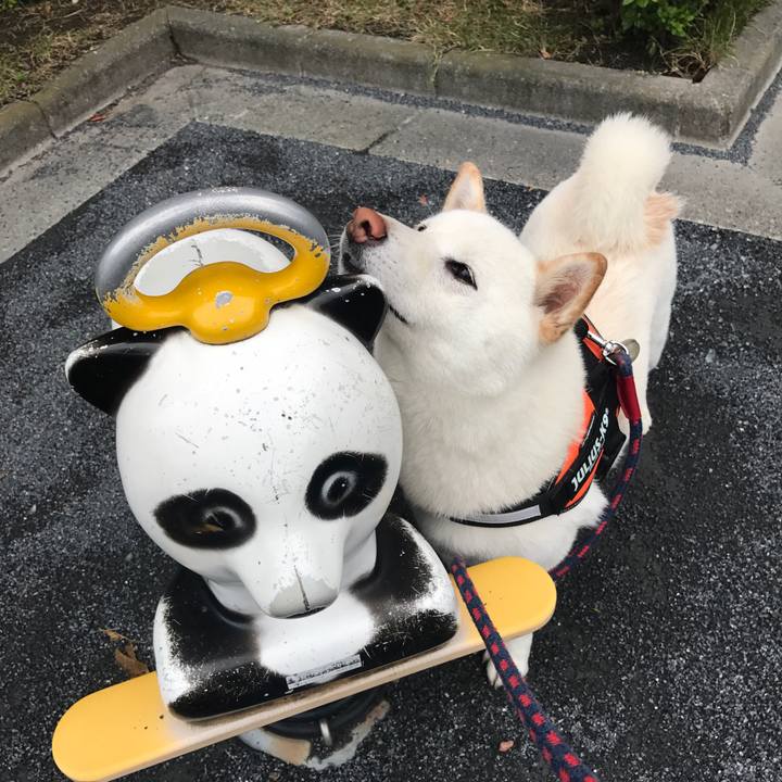 E5aa7e8a 97fd 4bf6 b192 9168cce5db75 1525909708045