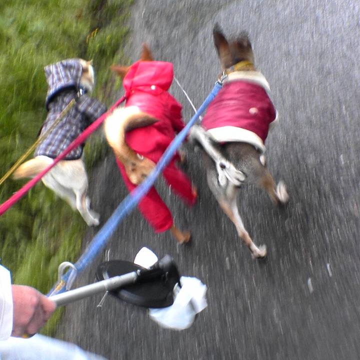 E5aaf19d 1407 435c b1ba cbffc1ec623a 1514042458033