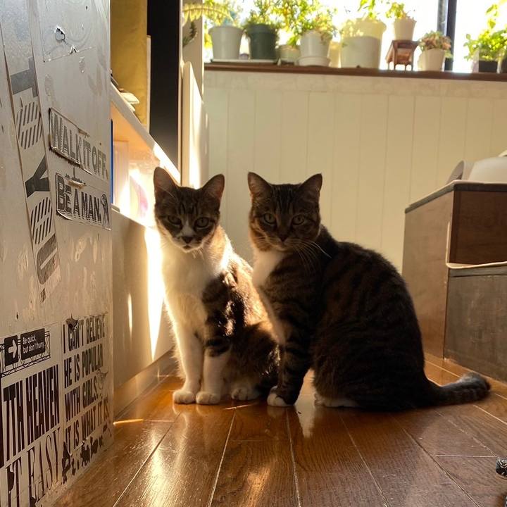 E5aafbda 2ecf 44bc ae19 c663b23d5747 1699420626336