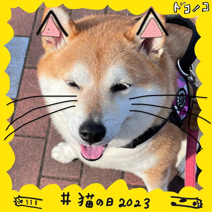 E5ab5adf 10b4 40b5 be3b a8174bcc76e1 1677018259349