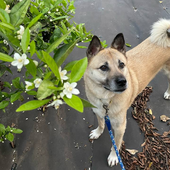 E5ab6cfa 5f37 41d6 977f c800ede8cc5f 1651841996390