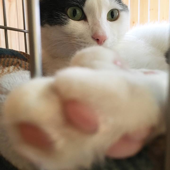 E5aba962 c207 47c0 a30b 1b97a68a69d9 1508736994089