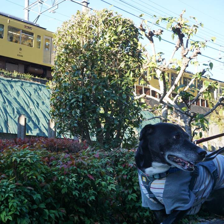 E5abb2dc 2de1 49b7 9653 ec58d0ca9669 1763773892586