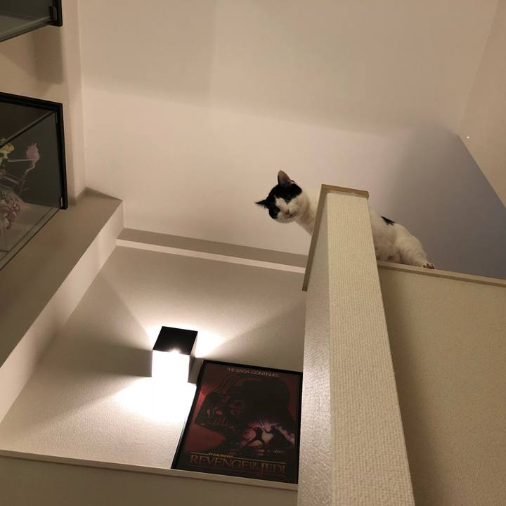 E5abb47f 4a62 4397 a57a 27bd851359ca 1517913929110