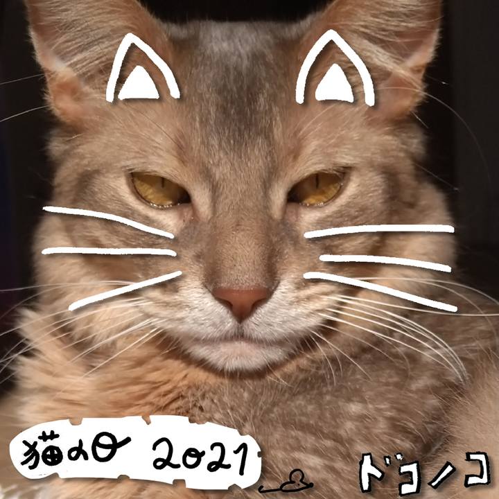 E5abc2ef c2d9 424b 97ba 6ee379b43a5a 1613963519382