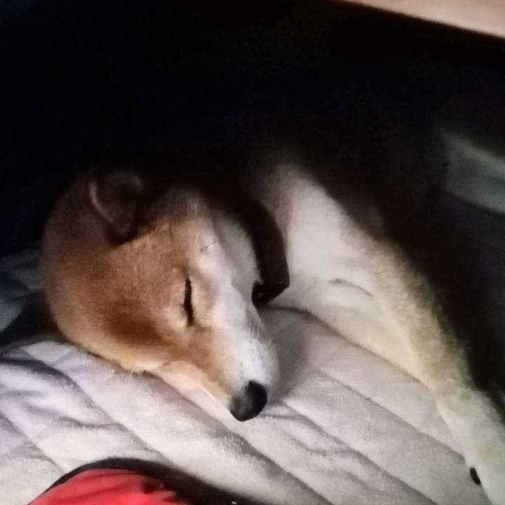 E5ac3325 d922 41cf 9579 c7825ec49c30 1606569840752