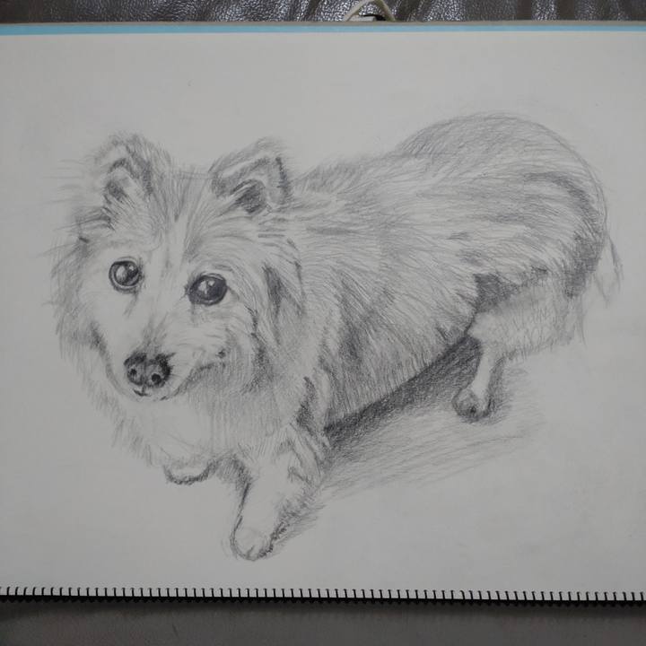 E5ac7975 5dd3 4bf5 bc16 663fe8dd849d 1645627282098