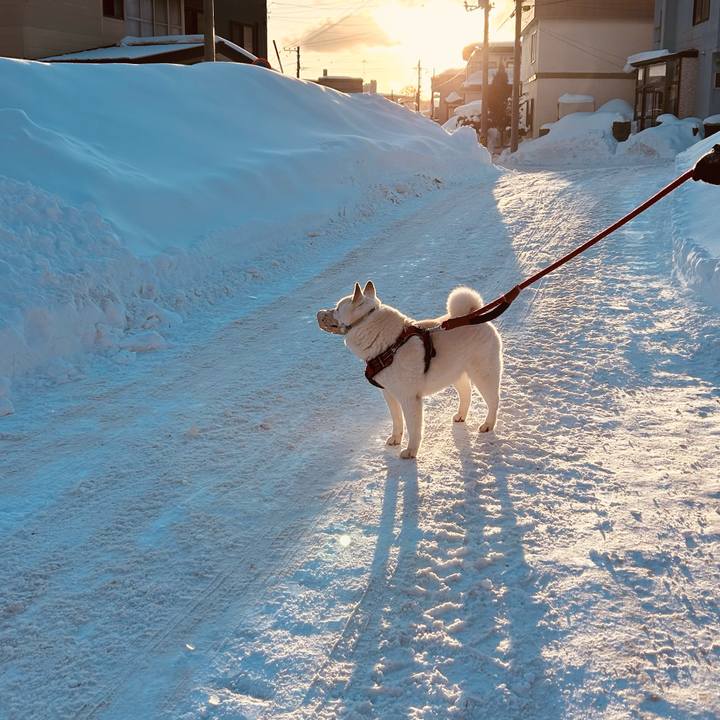 E5aca4b9 cbe4 49b7 8326 b4ef00941b19 1709077353611