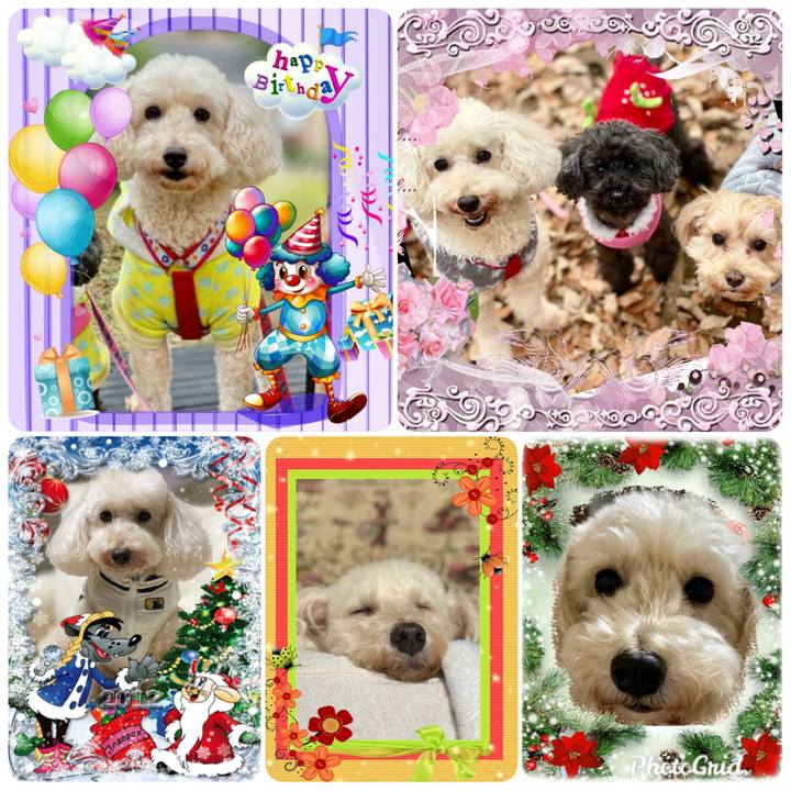 E5aca615 cc6f 437e 82f3 bd014b13a61f 1577105011981