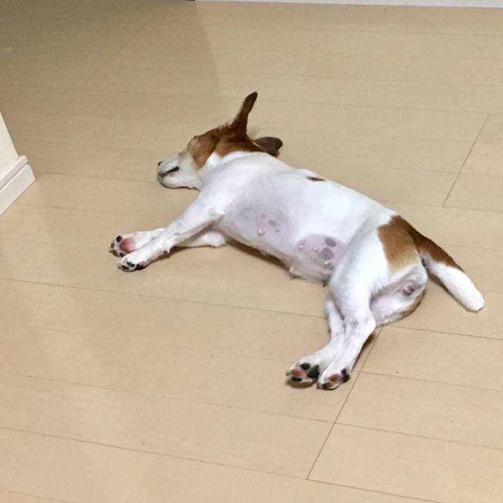 E5acc7d6 f163 4625 ac29 985e41b0ea02 1532240510733