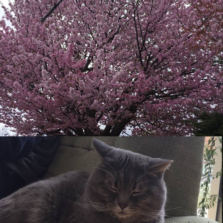 E5acfe91 3830 4743 b68c 9c628271e158 1525482738696