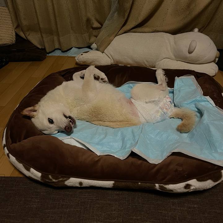 E5ad0079 72f6 4995 b0e2 0075ffe39257 1668088613258