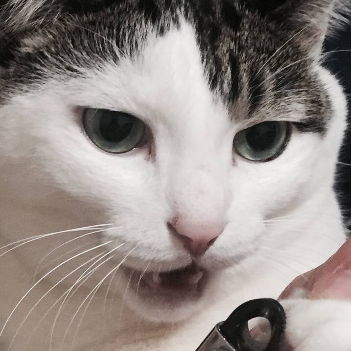 E5ad1220 87cc 46a7 ad1e 15514a243431 1509719482927