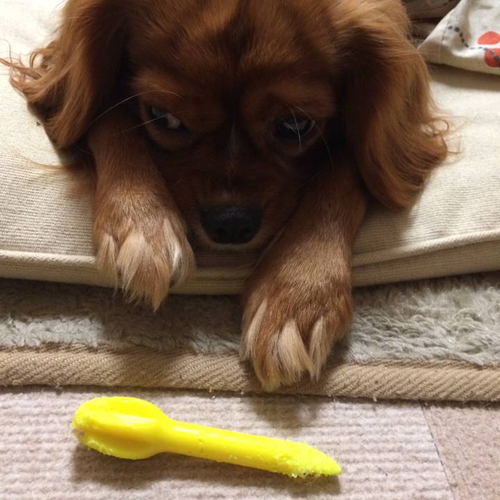 E5ad2cf5 7171 4db9 afca 2ec49573b157 1513892255611