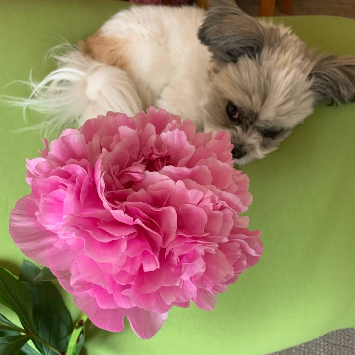 E5ad4bd7 a498 440a b822 42a76077d89a 1588460799035