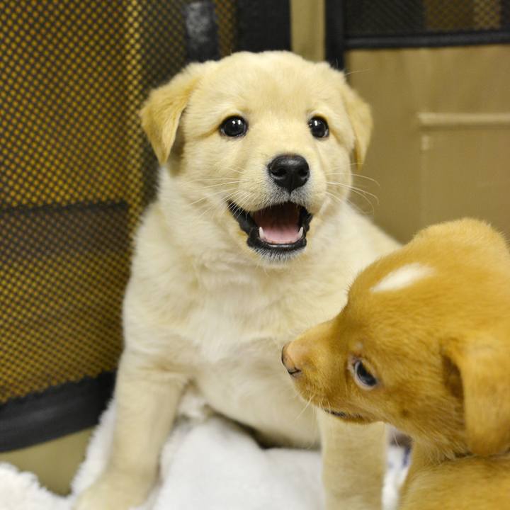 E5ad656e 39f5 41ac 963e ec7e2edf6a4f 1545739274381