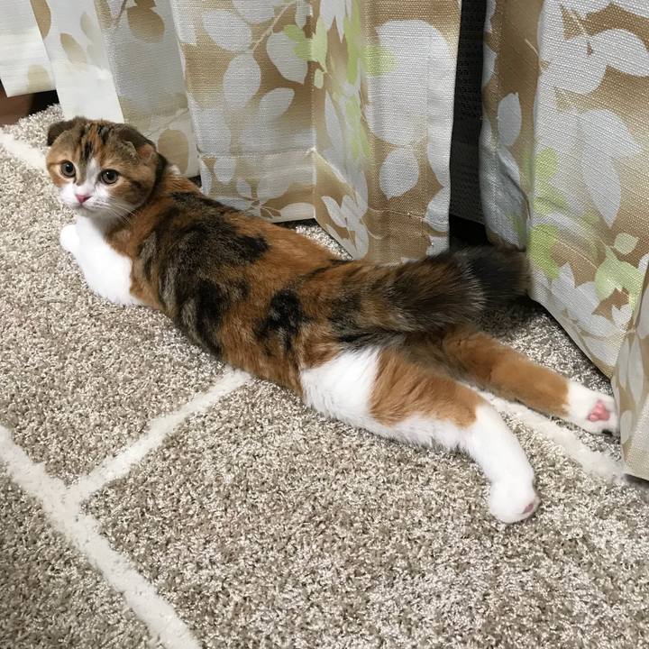 E5ad67bb 44bd 4283 9c58 28458d5742c6 1508582462632