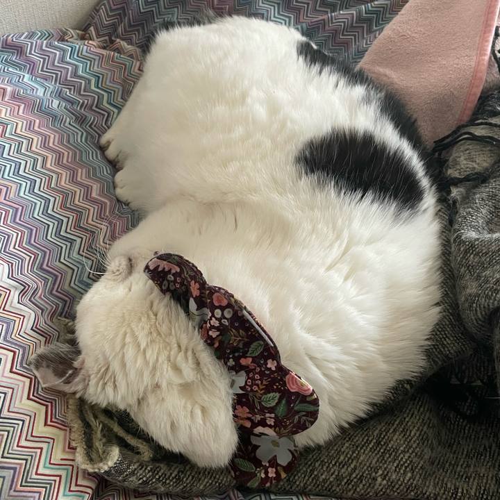 E5ad79af 2c89 4a41 bb6a d78f9b9fe984 1678851895768