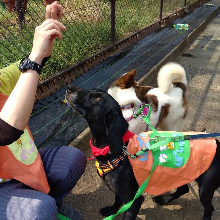 E5ad8980 c4fc 4eb9 a838 e94df07f26d8 1554615433772