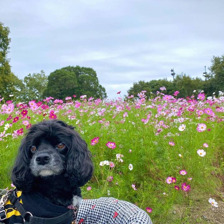 E5ada1ec 5f8a 4b02 9796 464fe3556489 1665373069303