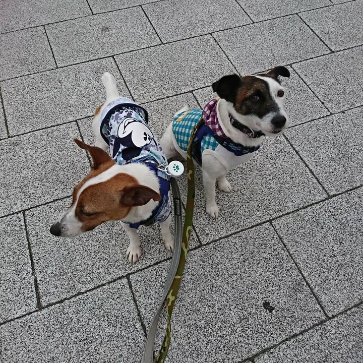 E5adab0d 6596 4d6a aaae 3b122212a950 1527632817301