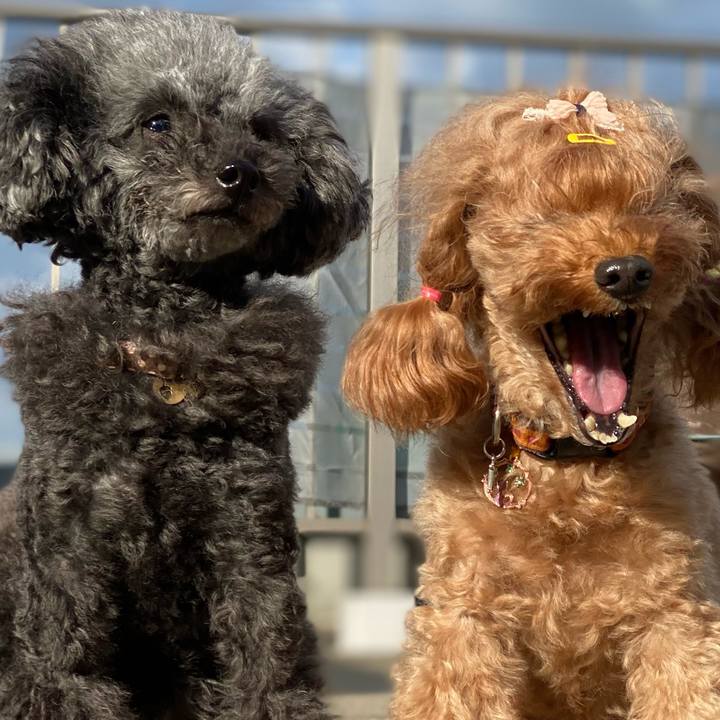 E5adac42 aa01 45d1 8705 f4c43003dcc7 1605570950451