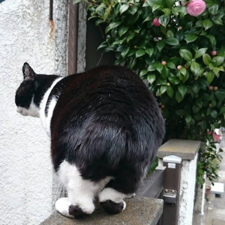 E5adada5 a3ed 4fc3 828d b87b8b6e5c08 1520651869147