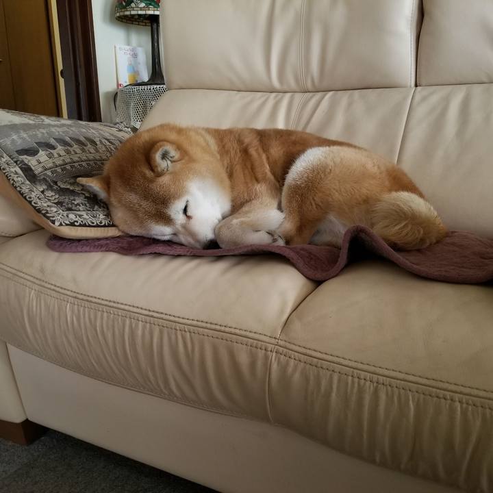 E5adc2b3 9c77 40a3 8ac9 0f36ef2f4417 1649368633200