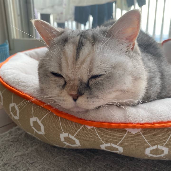 E5add2f1 4094 4211 afe5 e51d1e518243 1764630792740