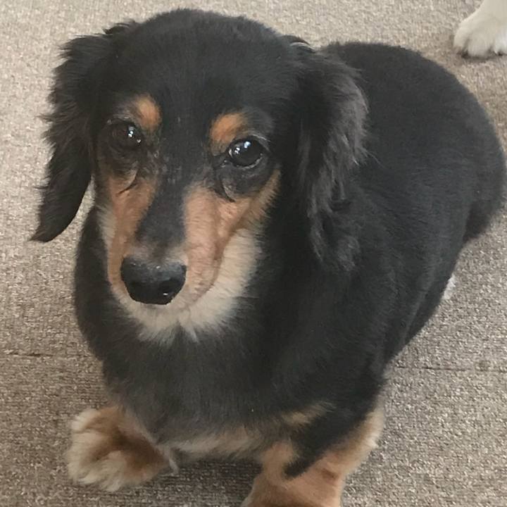 E5adf23a 28e5 4811 ab2f aaed5aa989a5 1534210792562