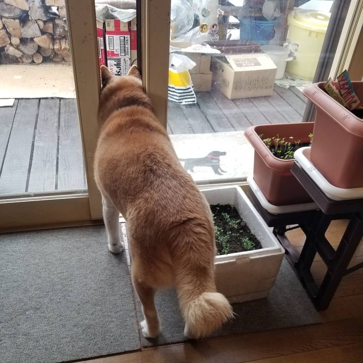 E5ae095b dabe 42ae b90b b301329b69b9 1741562088234