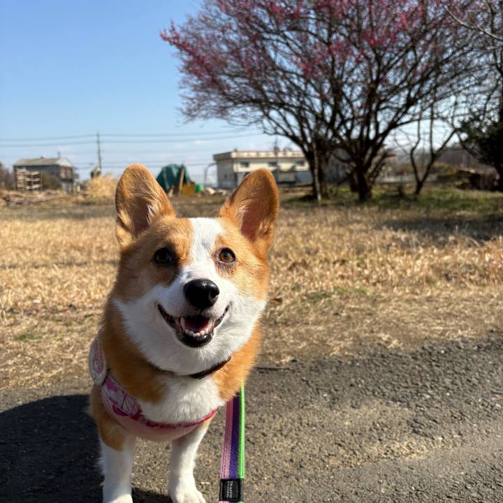 E5ae1682 75aa 45be bc7c 37386f415306 1771755409727